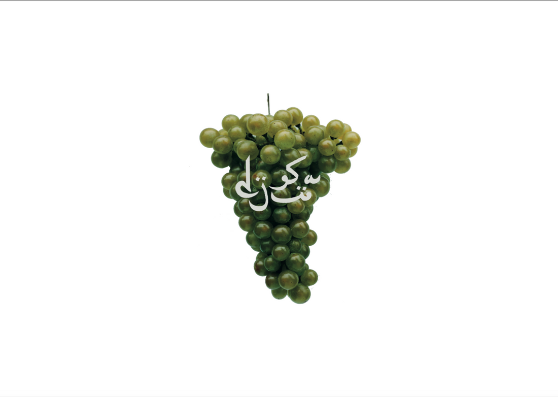 L'empreinte végétale