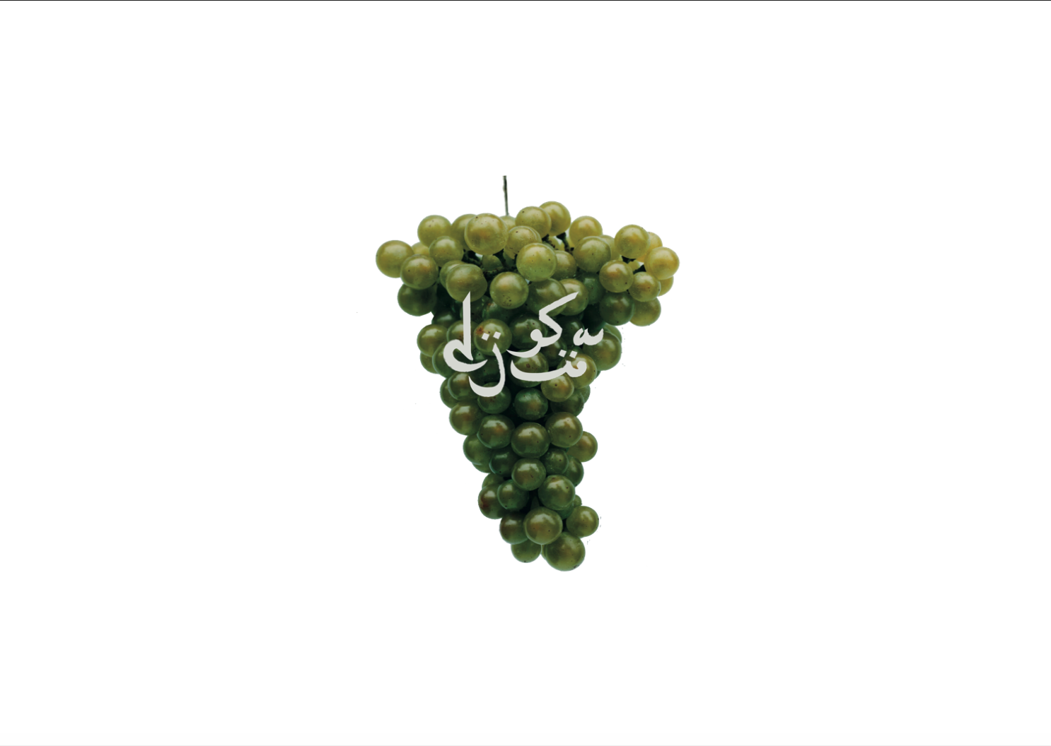 L'empreinte végétale